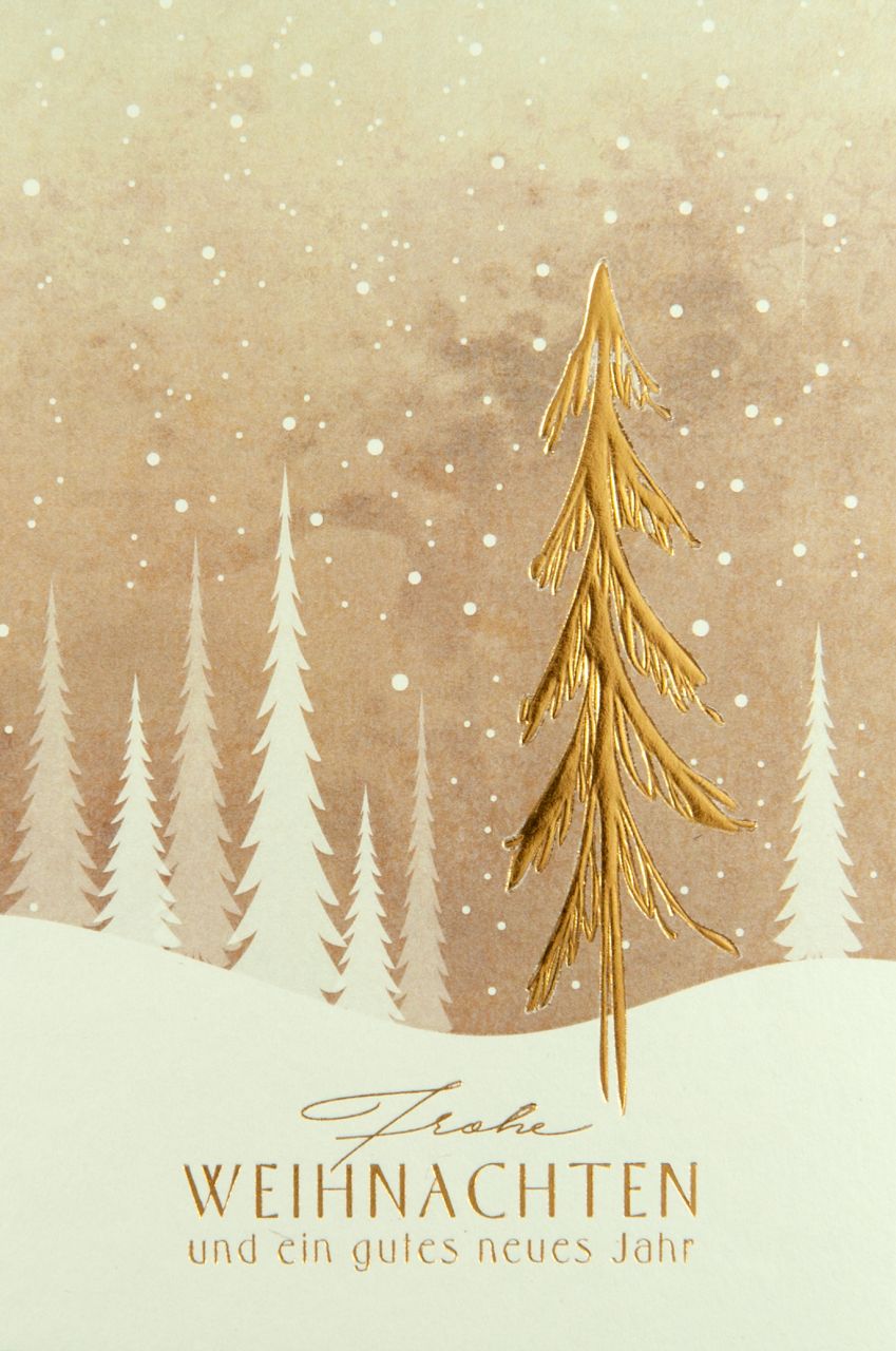 Weihnachtskarte - FW 18212