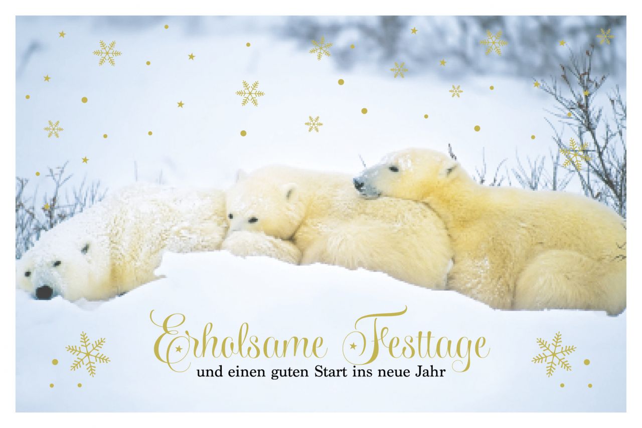 Weihnachtskarte - FW 18510