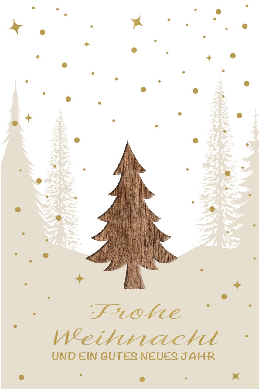 Weihnachtskarte - FW 18545