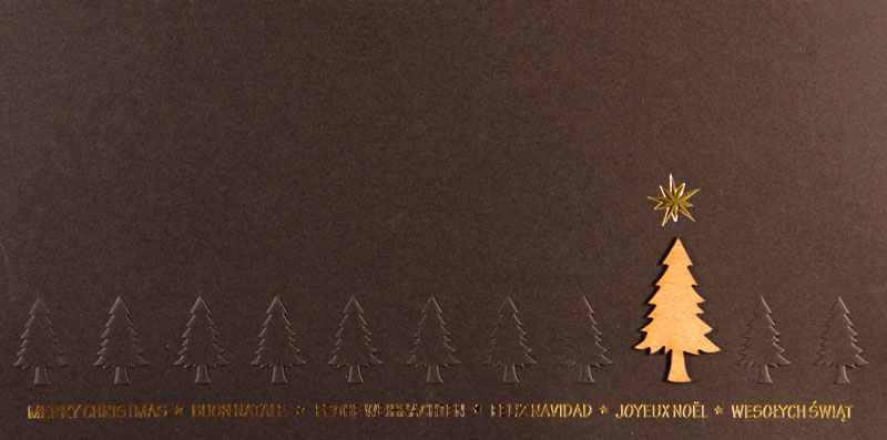 Weihnachtskarte - FW 18049 Weihnachtskarte - FW 18049
