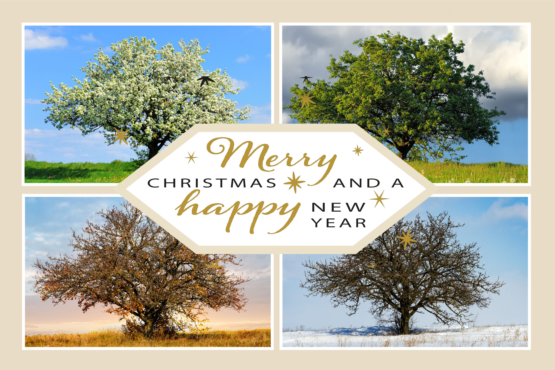 Weihnachtskarte - FW 18519